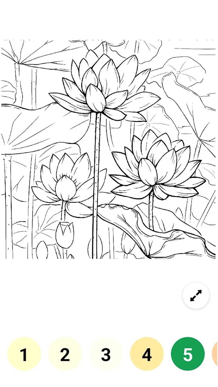 Zrzut 1 — widok jeziorka o świcie